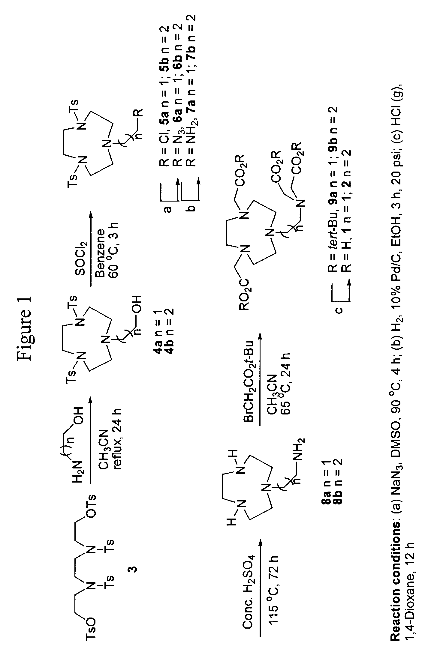 Scorpionate-like pendant macrocyclic ligands, complexes and compositions thereof, and methods of using same