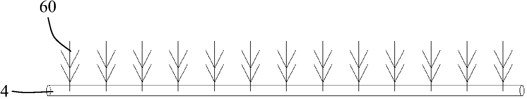 Paddy-upland rotation planting method of greenhouse potherbs