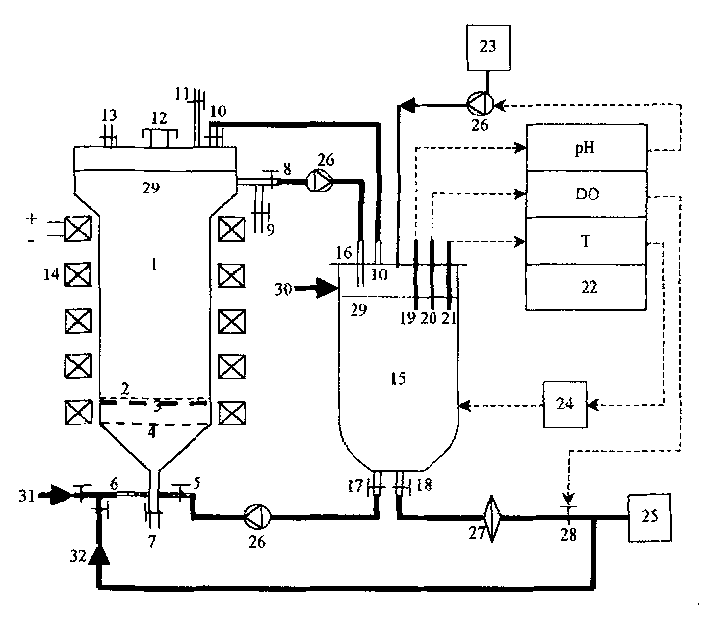 Method for culturing anchorage dependent animal cell to produce virus by using magnetic stable fluidized bed