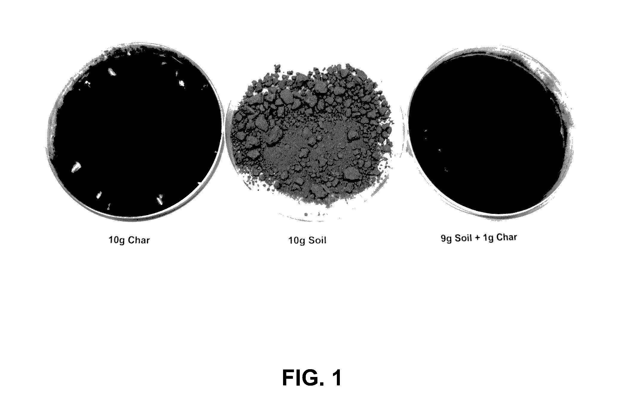 Ozonized biochar compositions and methods of making and using the same