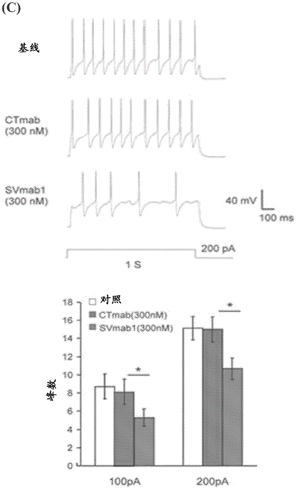 Nav1.7 antibodies and methods of using the same