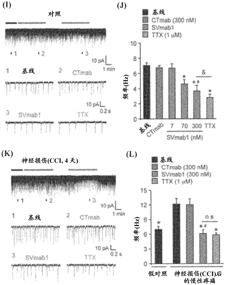 Nav1.7 antibodies and methods of using the same