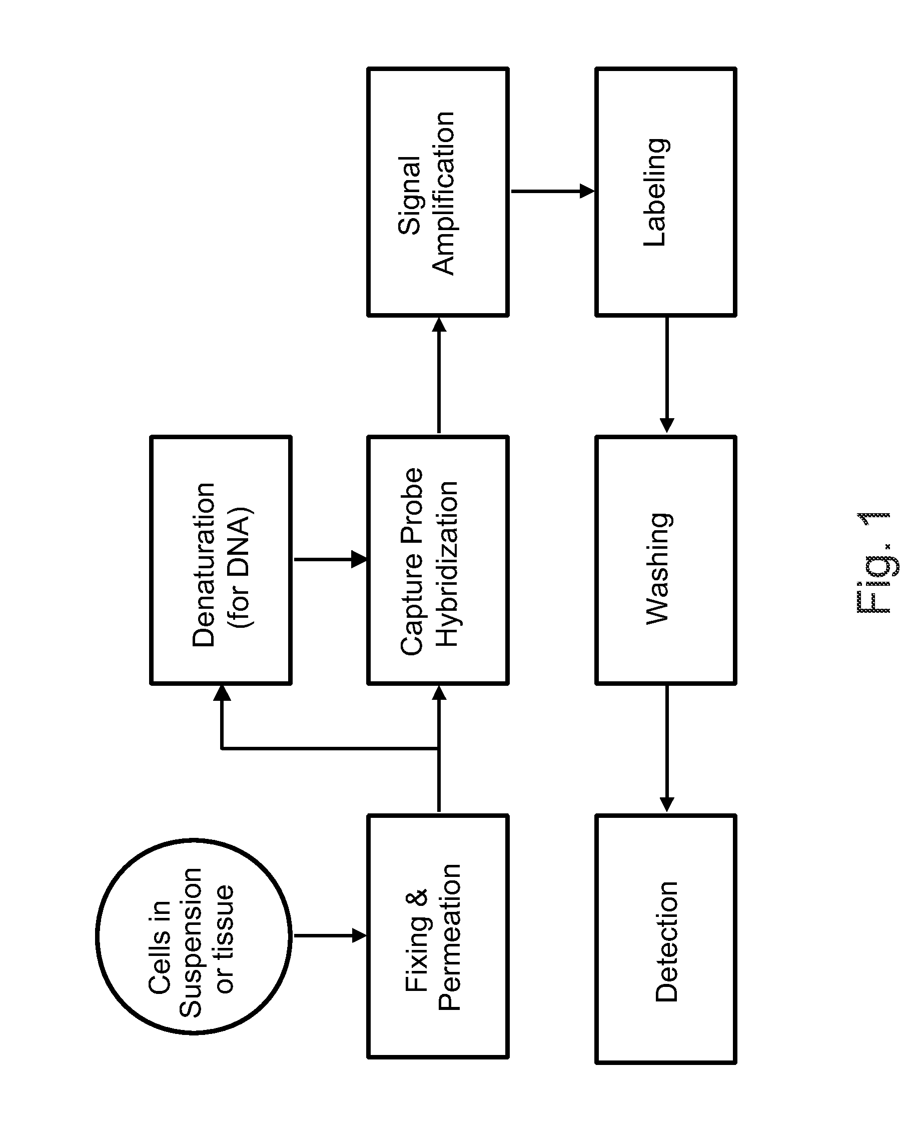 Methods of detecting nucleic acid sequences with high specificity