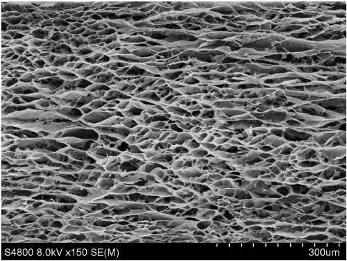 A kind of graphene material with ordered structure and preparation method thereof