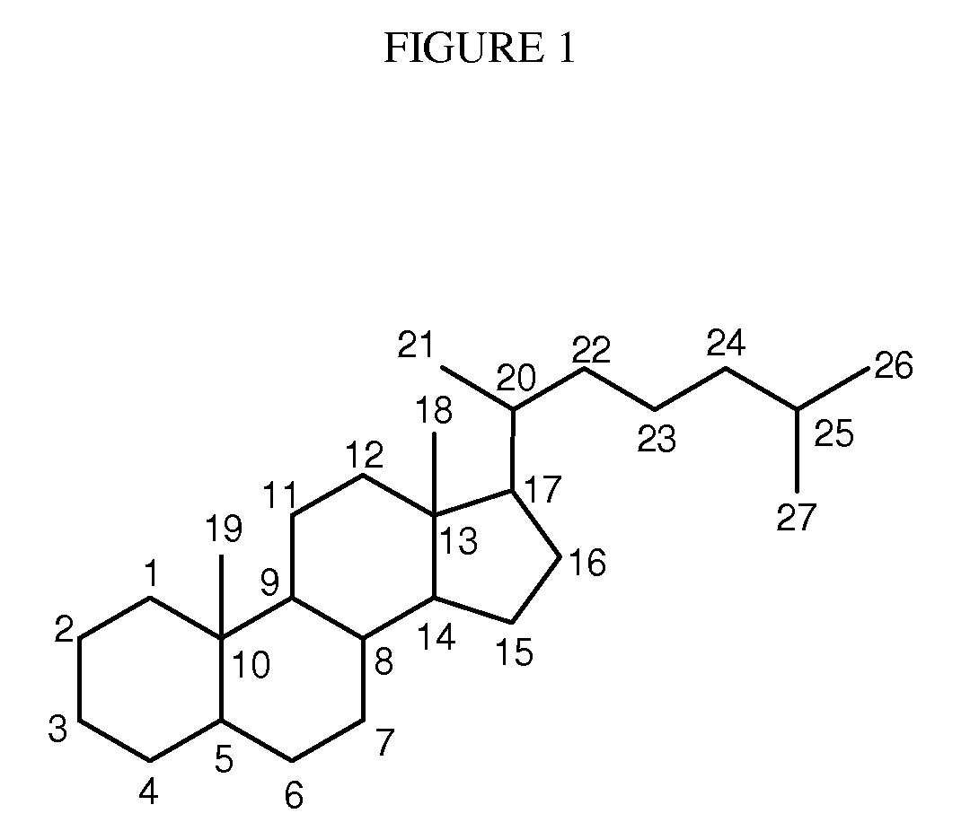 Synthetic bile acid compositions and methods