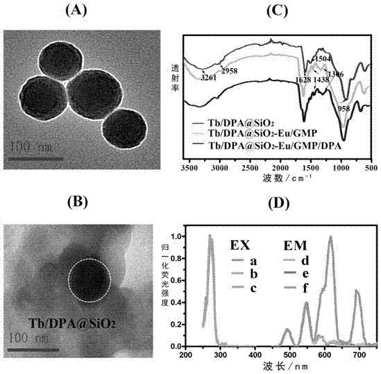 Rate-type rare-earth fluorescent probe and application in detecting bacillus-anthracis biomarker