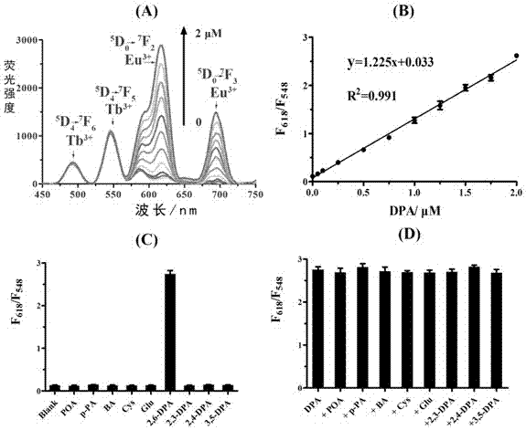 Rate-type rare-earth fluorescent probe and application in detecting bacillus-anthracis biomarker