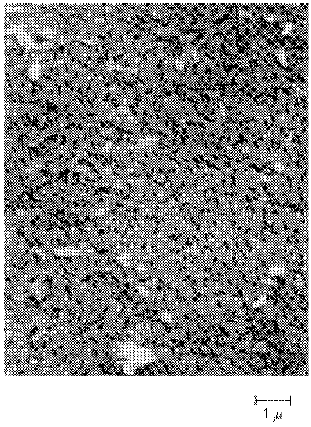 Alkaline storage battery hydrogen-absorbing alloy electrode and method for producing the same