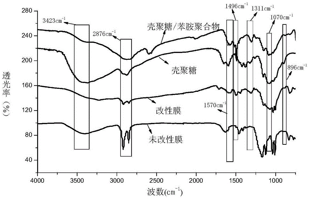 Method for preparing univalent selective cation exchange membrane by electrodeposition