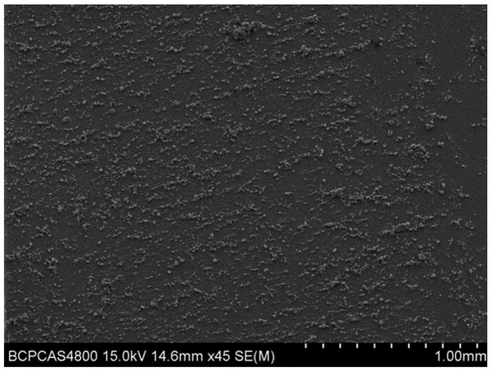 Preparation method of oriented carbon nanotube film