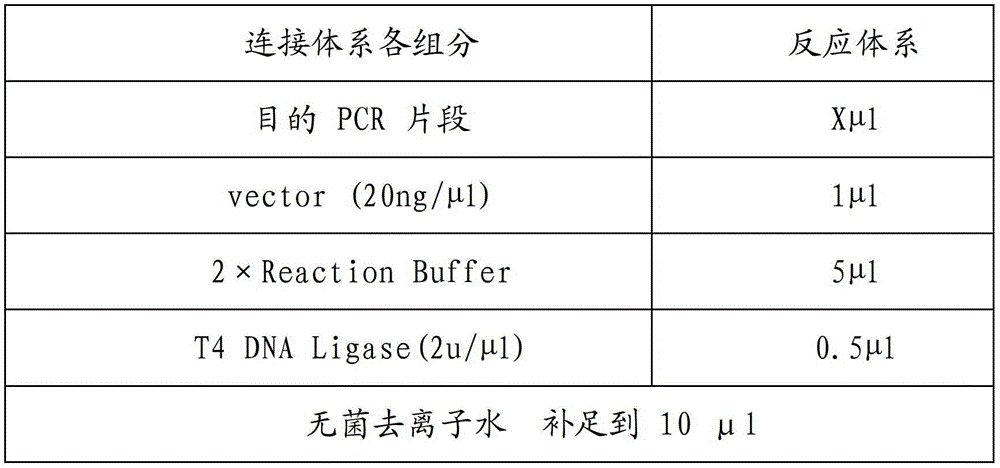 A kind of multifunctional cloning carrier and its application method