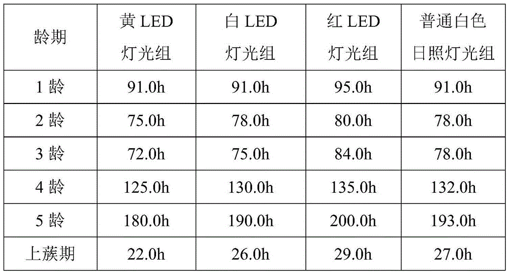 Application of high-light-intensity yellow LED lamps in silkworm breeding