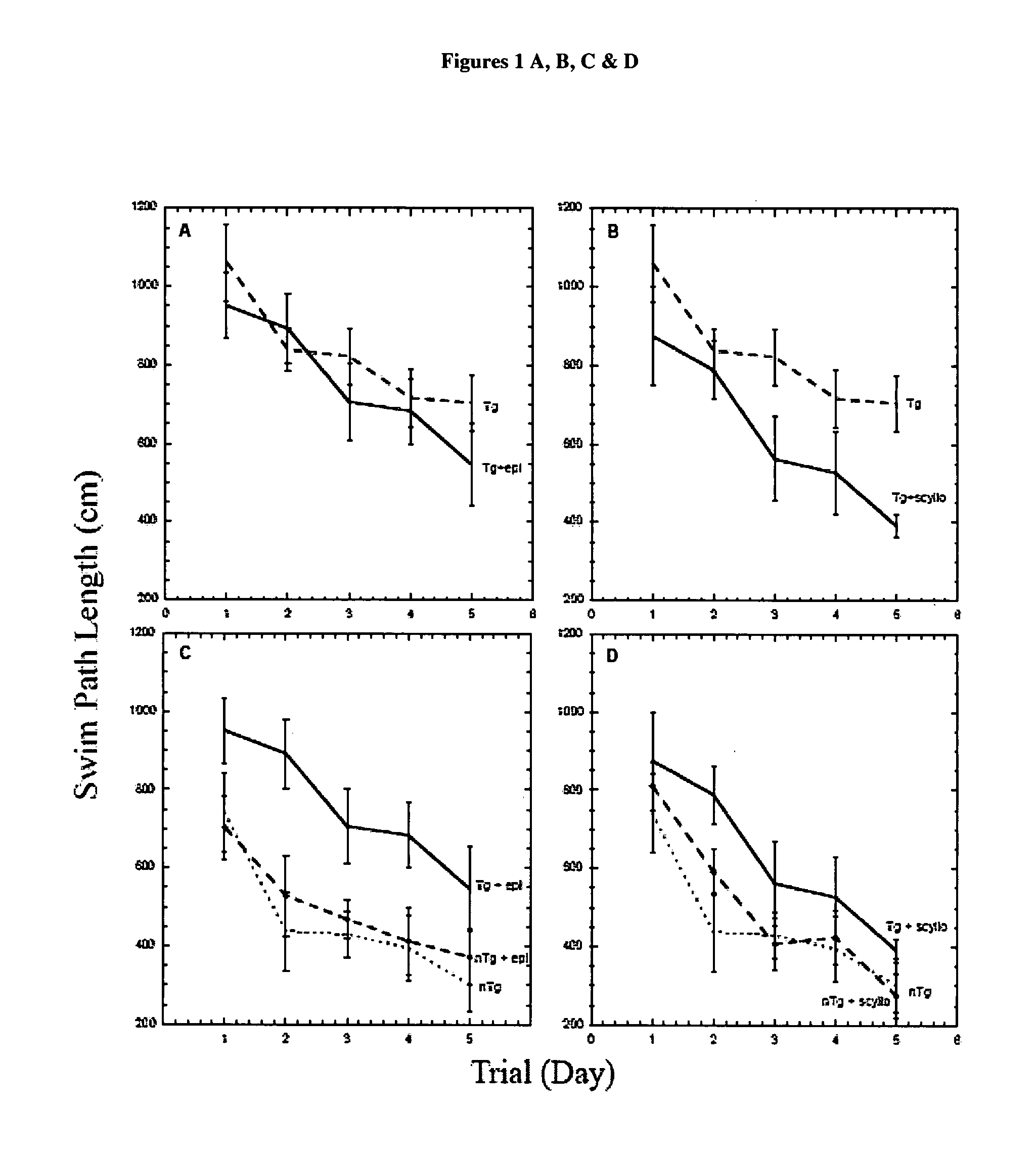 Compositions and methods for treatment of disorders of protein aggregation