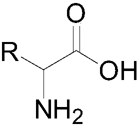 Synthetic method of stable isotope deuterium-labeled alpha-amino acid