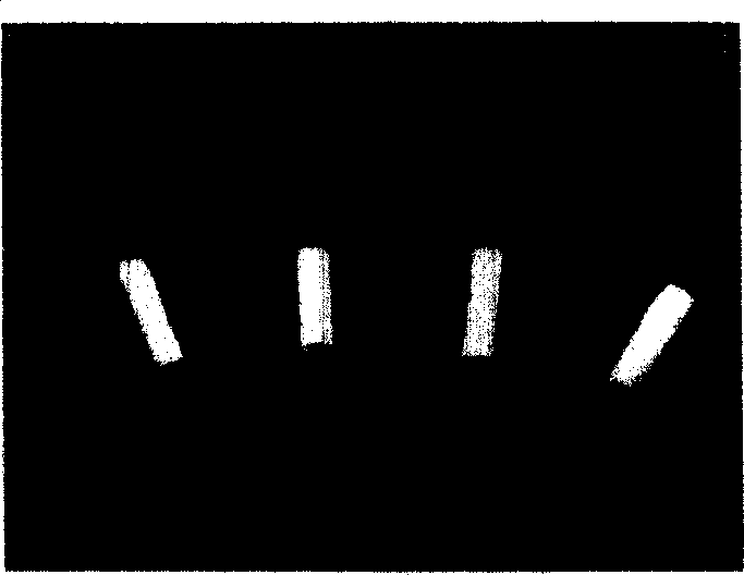 Aretificial nerve canula material of slow operating complex type poly lactic acid and preparation method