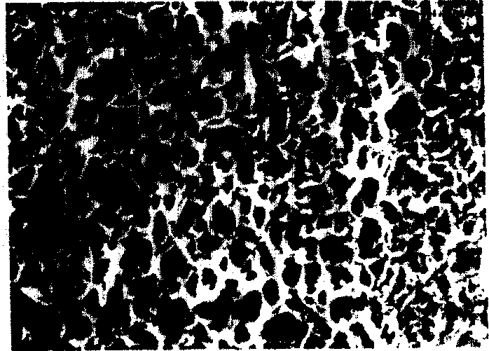 Aretificial nerve canula material of slow operating complex type poly lactic acid and preparation method