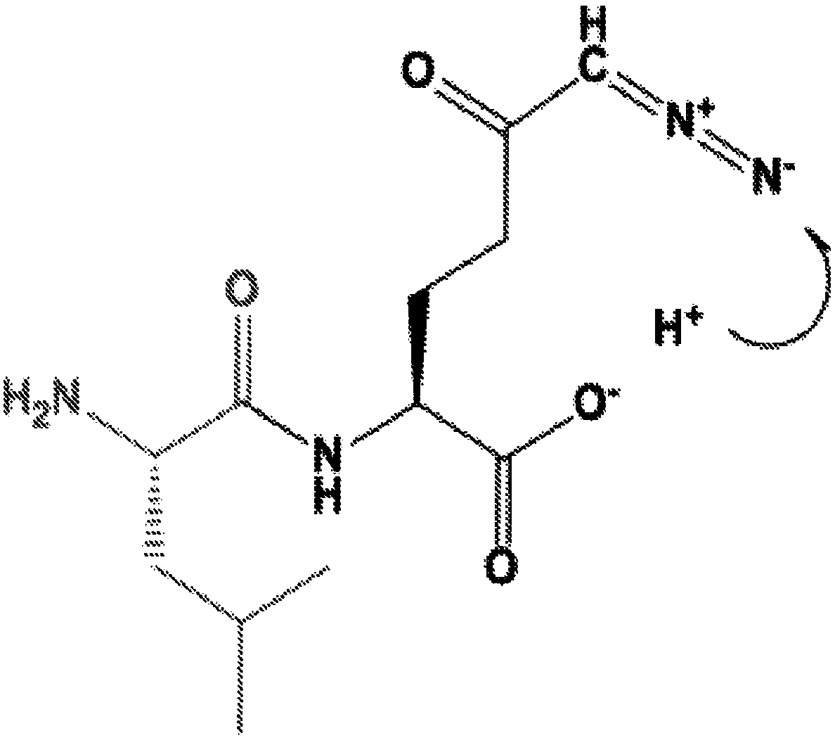 Prodrugs of glutamine analogs