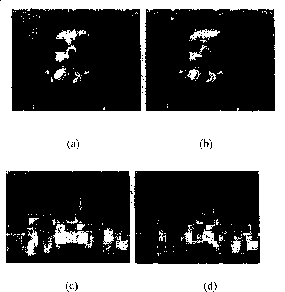 Novel sight point reconstruction method for multi-sight point collection/display system of convergence type camera