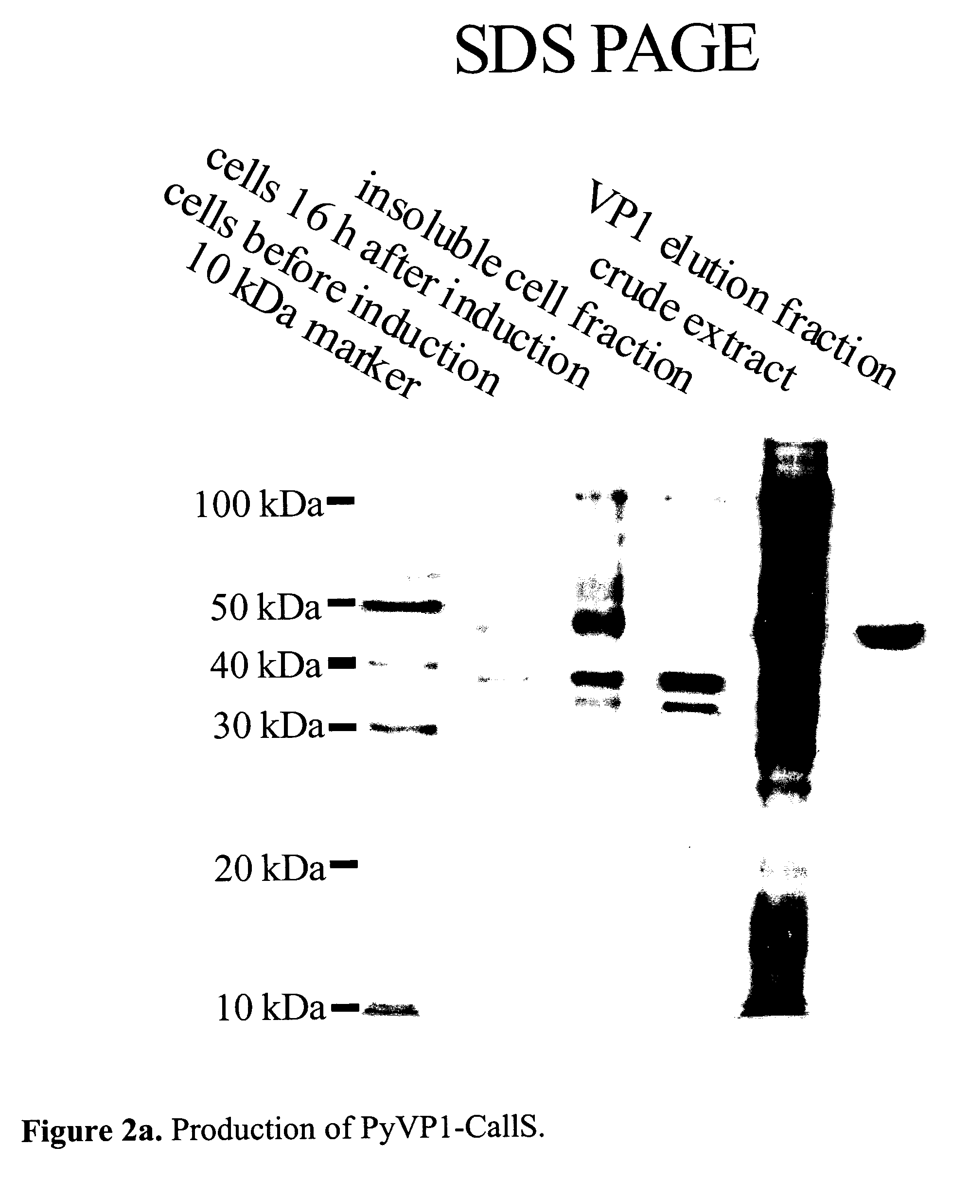 Modular transport systems for molecular substances and production and use thereof
