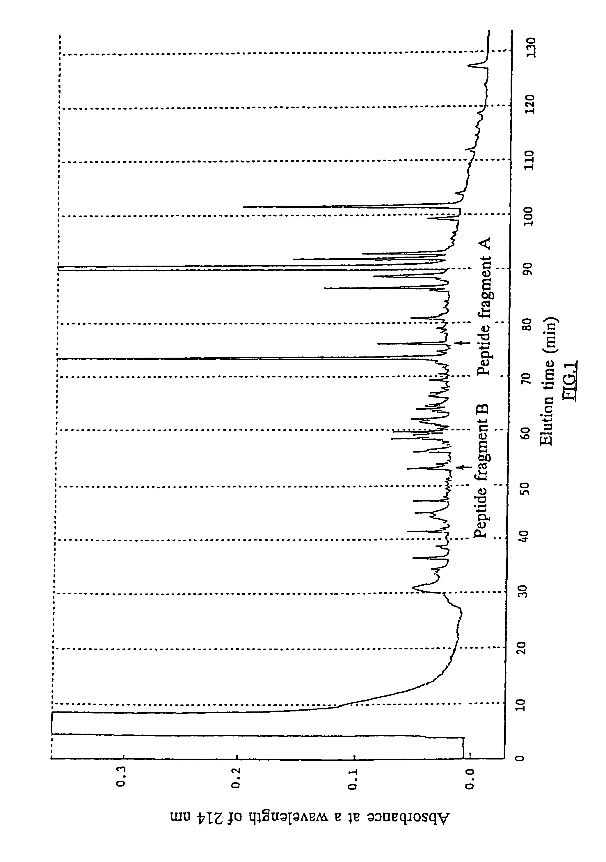 Interferon-γ inducing polypeptide, pharmaceutical composition thereof, monoclonal antibody thereto, and methods of use
