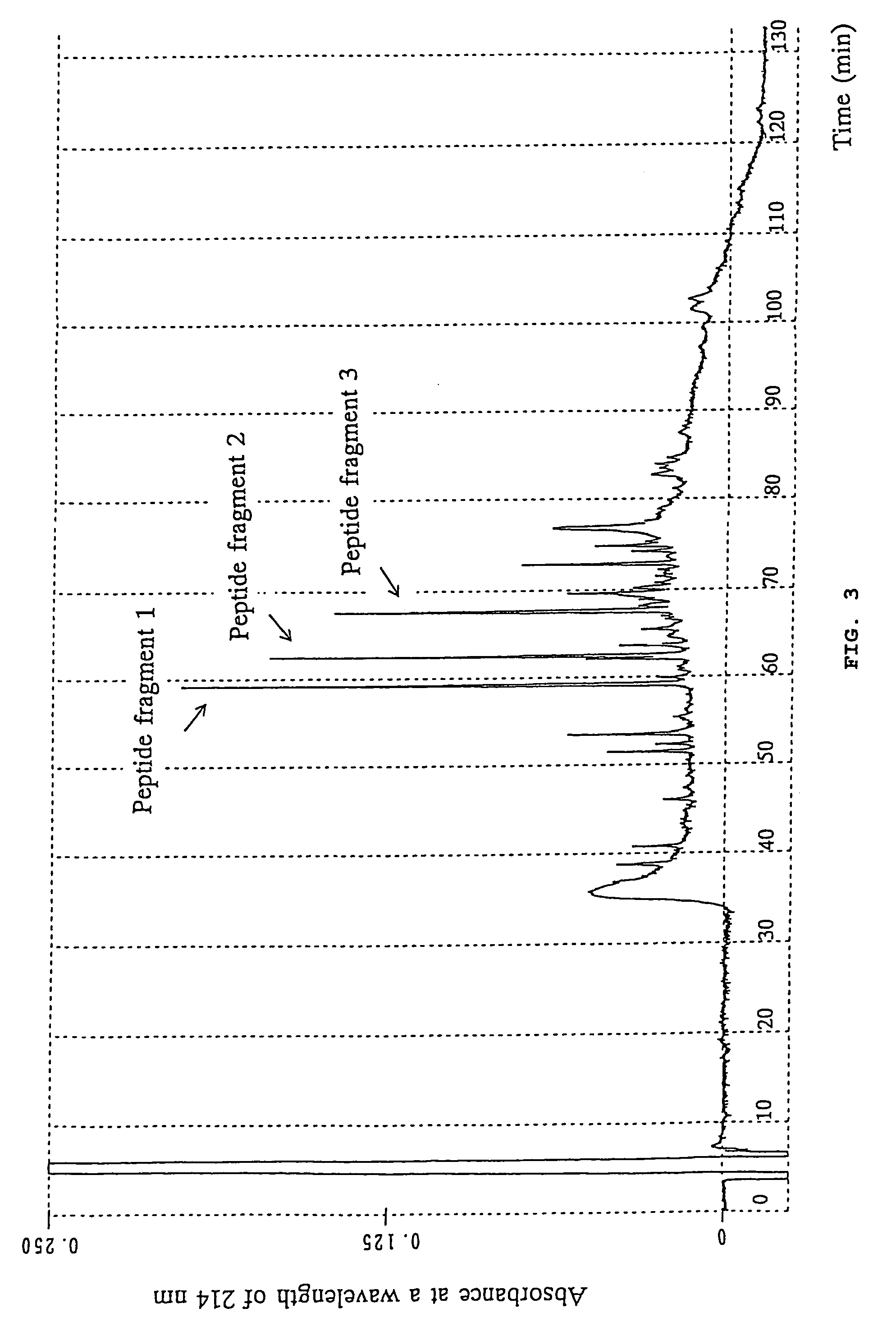 Interferon-γ inducing polypeptide, pharmaceutical composition thereof, monoclonal antibody thereto, and methods of use
