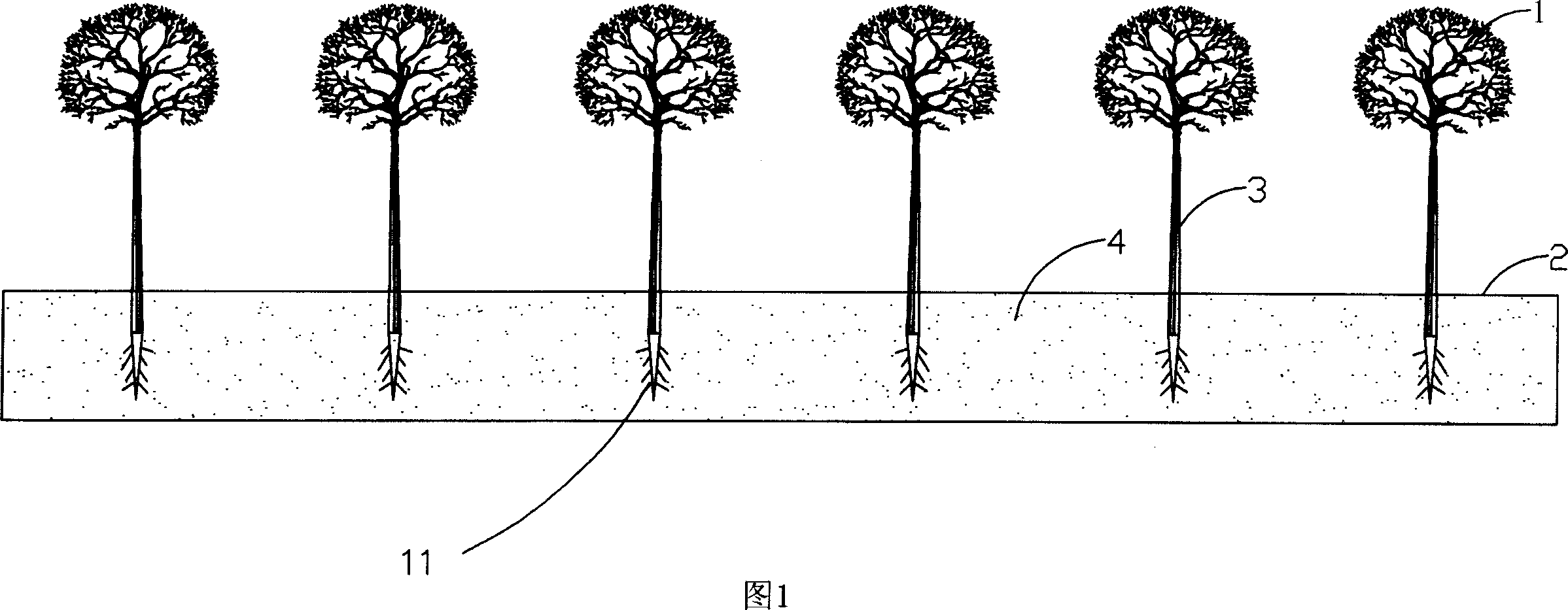 Forest tree construction