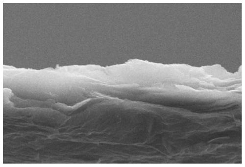 MXene black phosphorene composite sponge and preparation method thereof