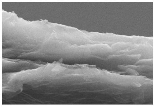 MXene black phosphorene composite sponge and preparation method thereof