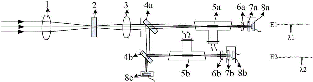 Absolute wavelength calibration and adjustment device and method