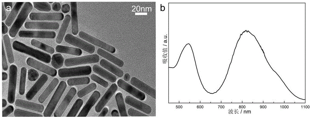 Surface-enhanced Raman scattering device and its preparation method and application