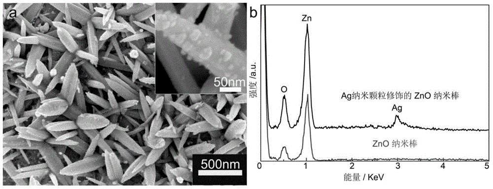 Surface-enhanced Raman scattering device and its preparation method and application