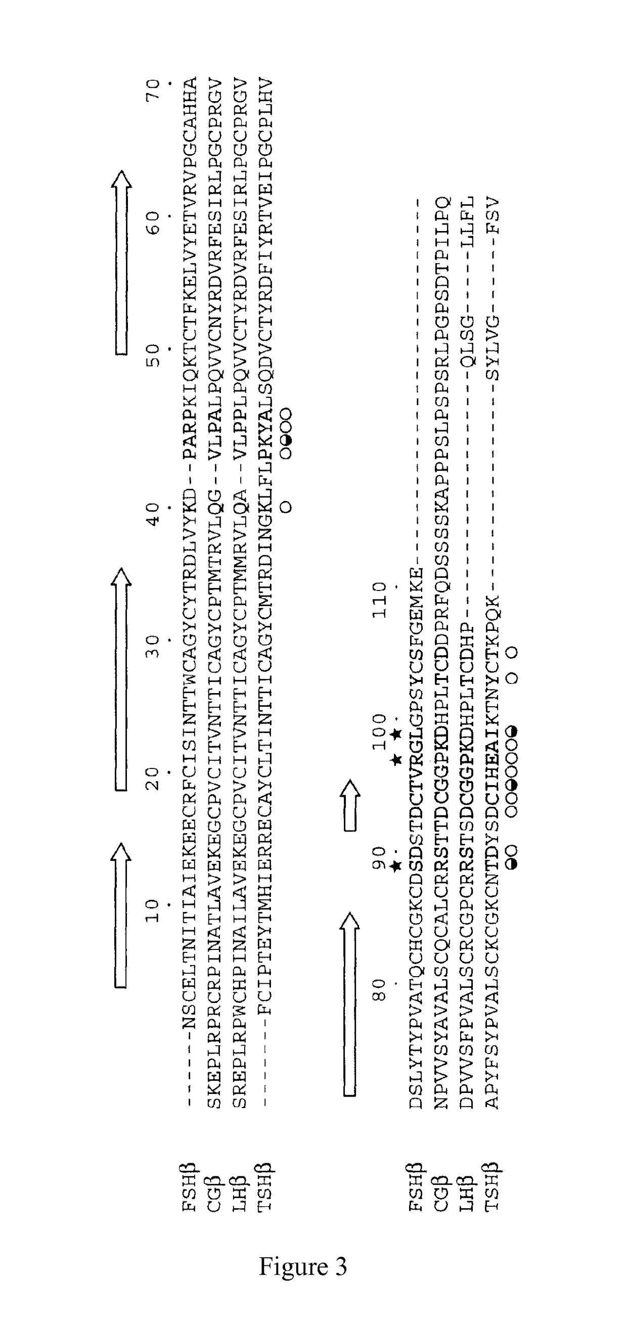 Trophic hormone fusion protein, preparation method and application thereof