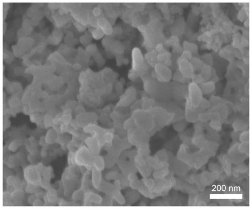 Preparation method and application of LaCoO3 nanomaterial with oxygen vacancies