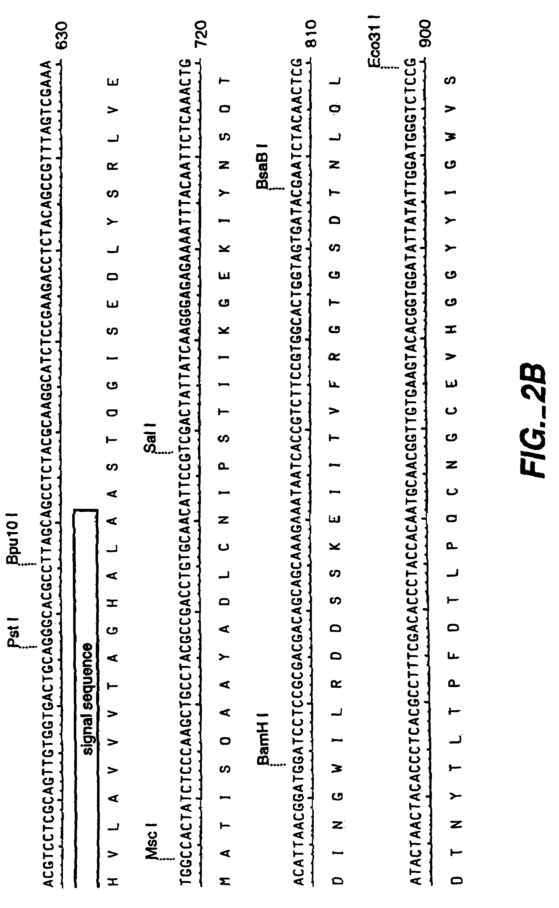 Manipulation of the phenolic acid content and digestibility of plant cell walls by targeted expression of genes encoding cell wall degrading enzymes