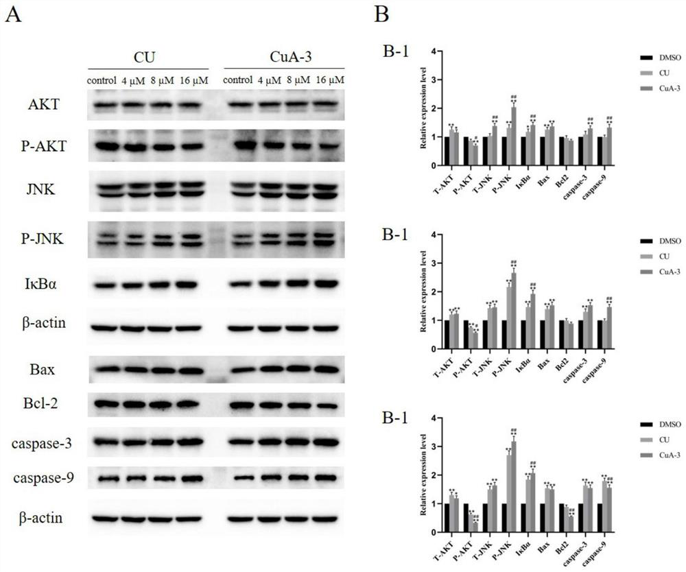 Monocarbonyl curcumin analogue as well as preparation and application thereof