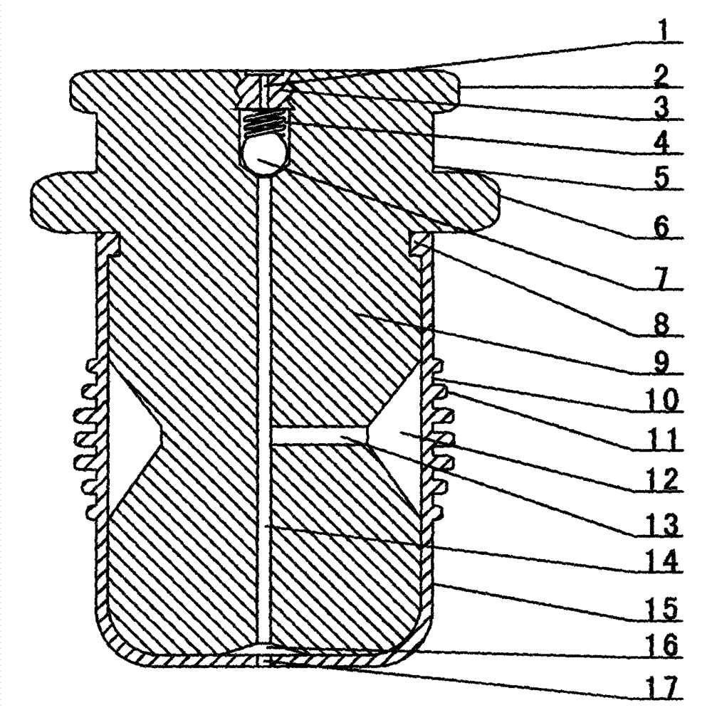 Self-locking bottle plug capable of releasing steam air pressure