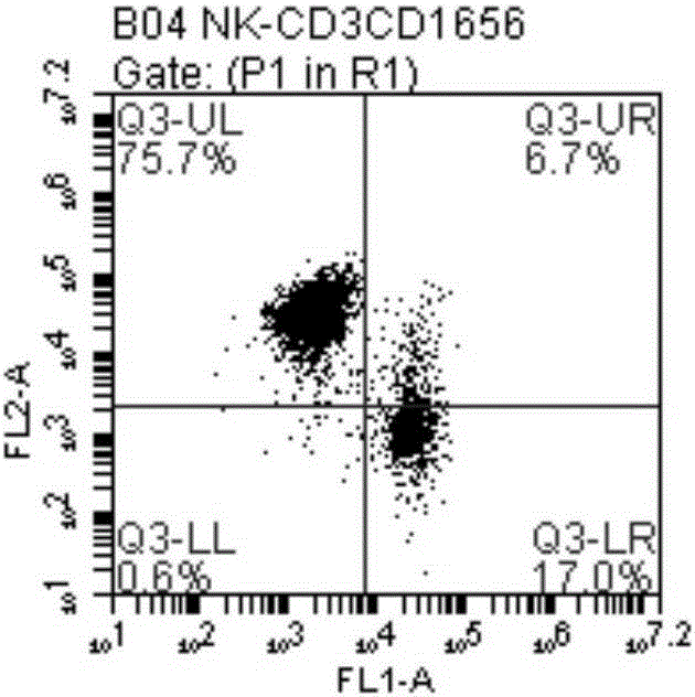Method for amplifying NK cells through in-vitro cultivation