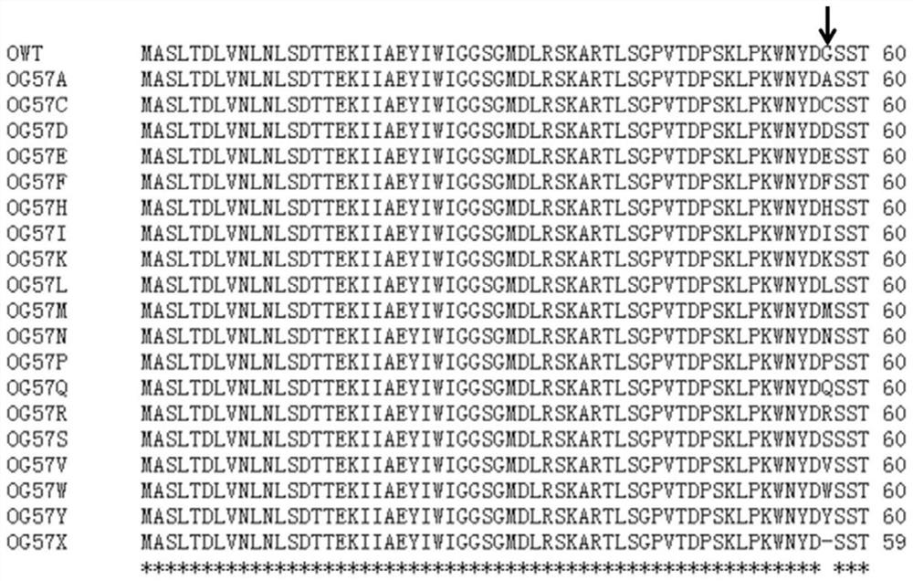 Glutamine synthetase mutant with glufosinate-ammonium resistance, nucleic acid molecule and application