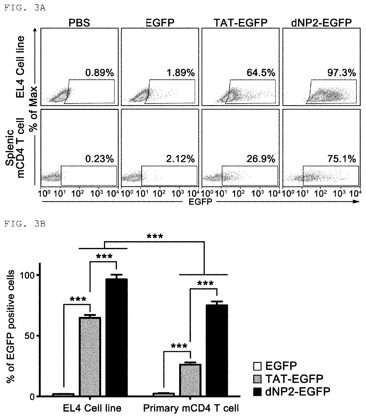 Pharmaceutical composition for preventing and treating transplant rejection