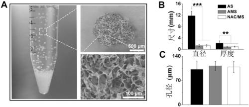 Application of nano porous microbracket in tissue regeneration and repair