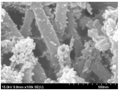 A kind of composite platinum nanoparticle and metal nitride material catalyst and its preparation method and application