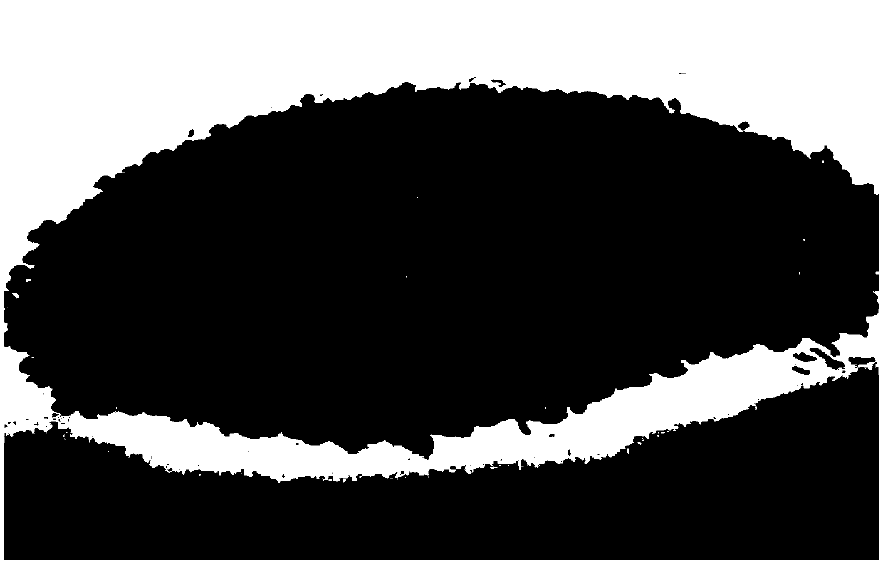 Processing method and application for coked grain sprout decoction pieces