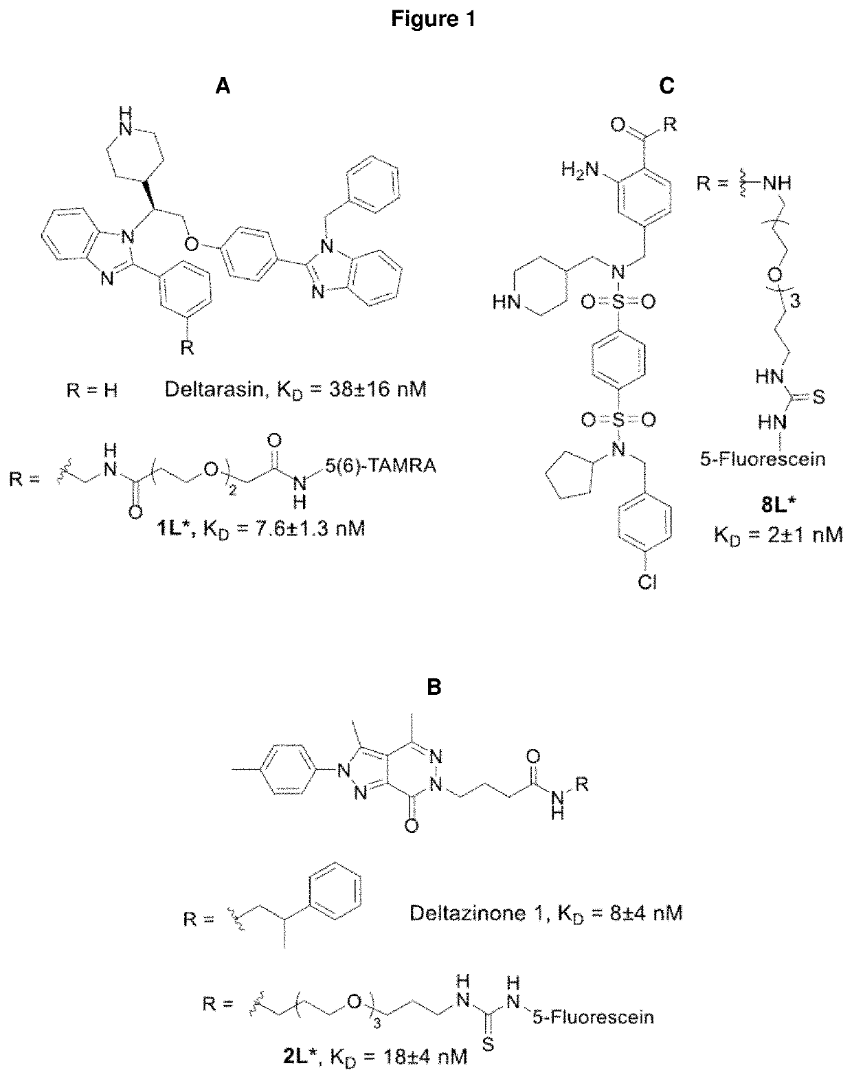 Benzene disulfonamide for the treatment of cancer