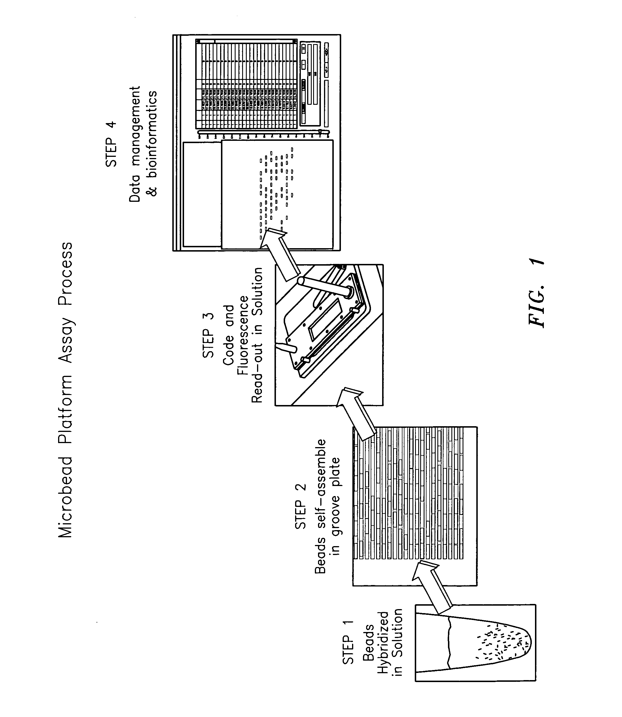 Method and apparatus for aligning microbeads in order to interrogate the same