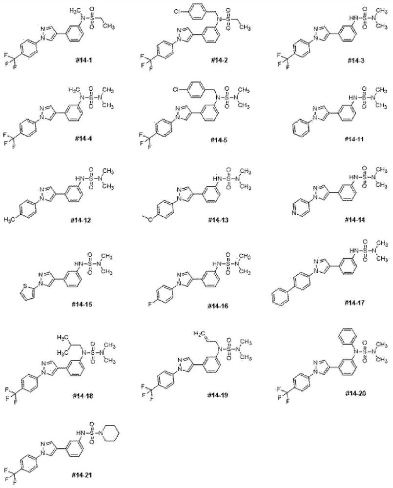 Composition for preventing or treating cancer containing novel trifluoromethylphenylpyrazole derivative as active ingredient