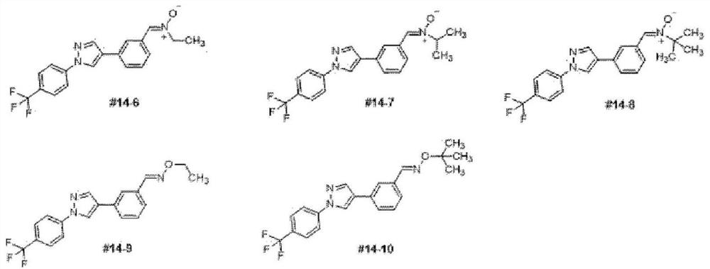 Composition for preventing or treating cancer containing novel trifluoromethylphenylpyrazole derivative as active ingredient