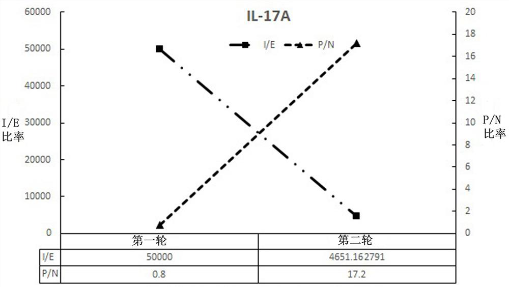 A kind of anti-il-17a single domain antibody and use thereof