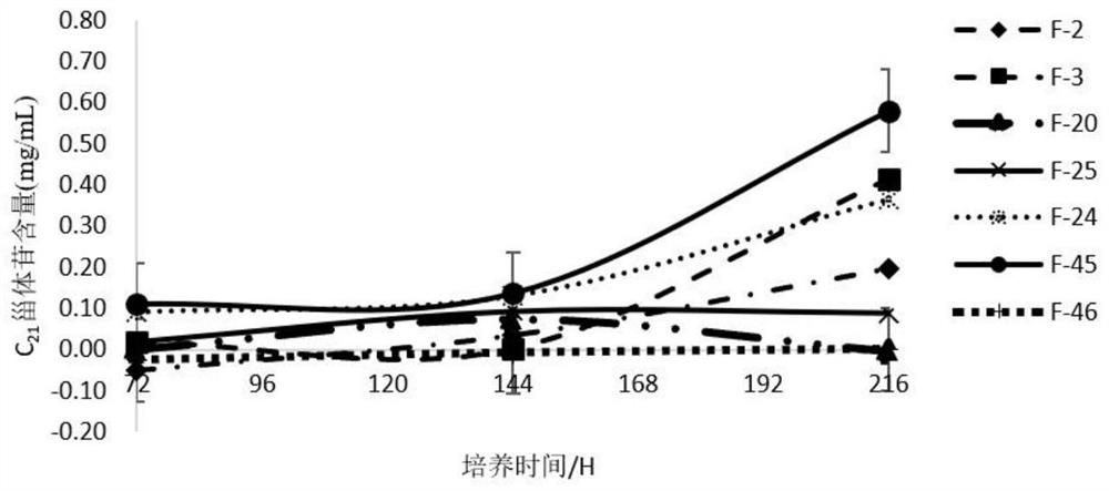 Agrobacterium tumefaciens F-45 with high yield of C21 steroidal glycoside and application of Agrobacterium tumefaciens F-45