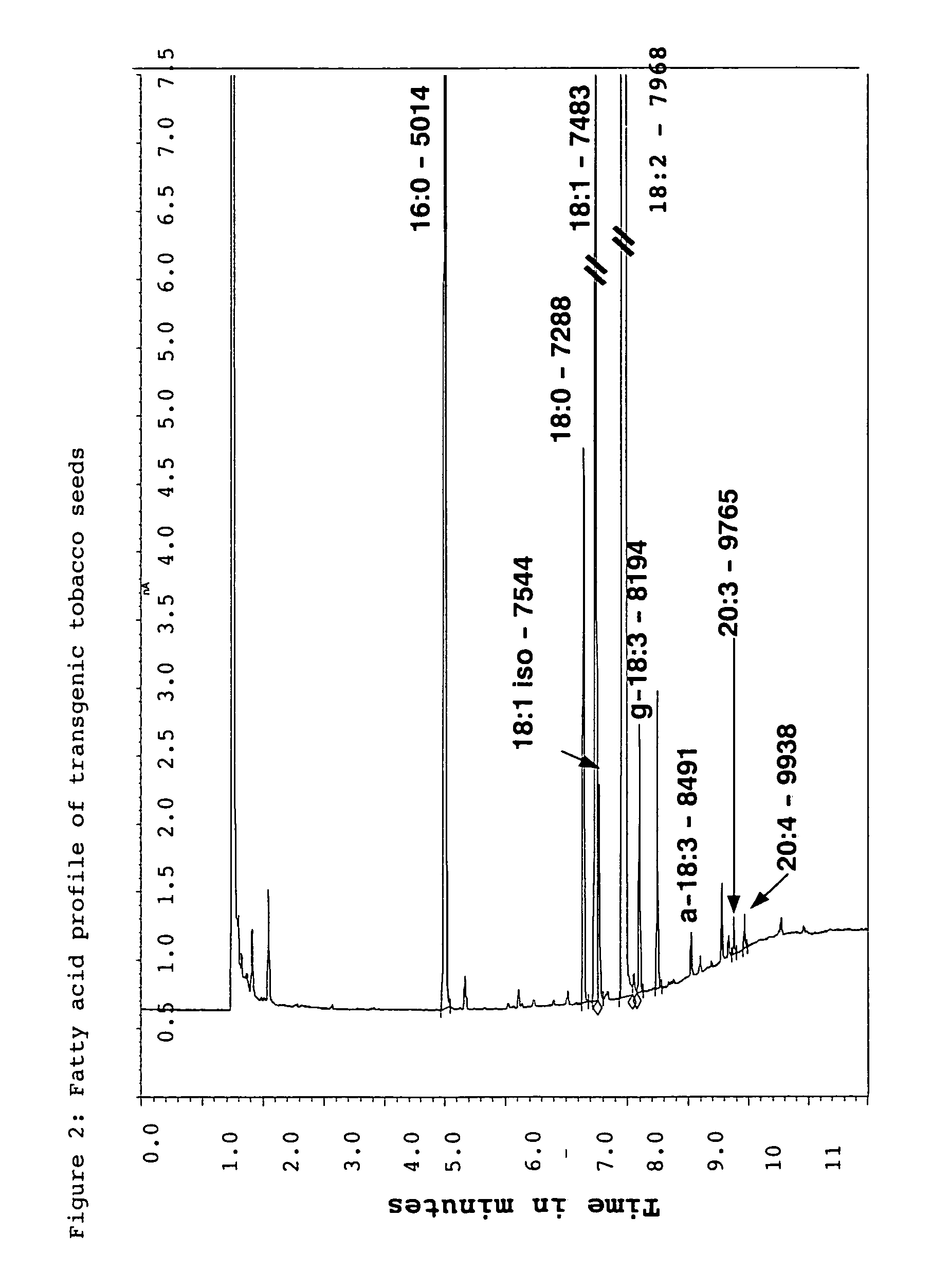 Method for producing multiple unsaturated fatty acids in plants