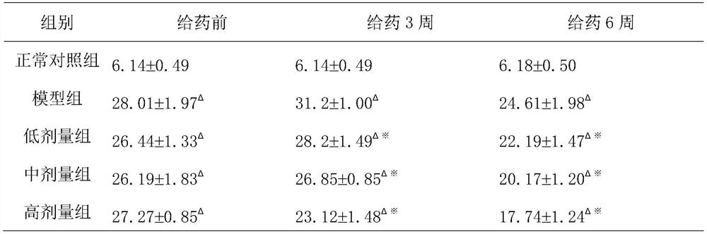 Traditional Chinese medicine composition for treating diabetic nephropathy, traditional Chinese medicine preparation and preparation method thereof